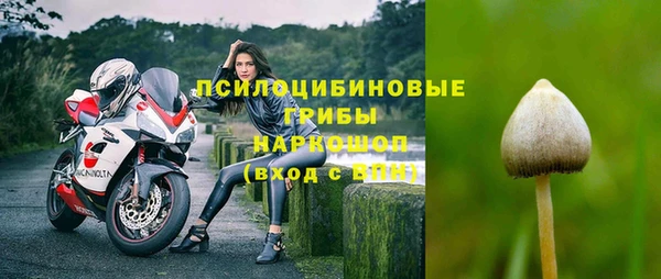 а пвп мука Богданович